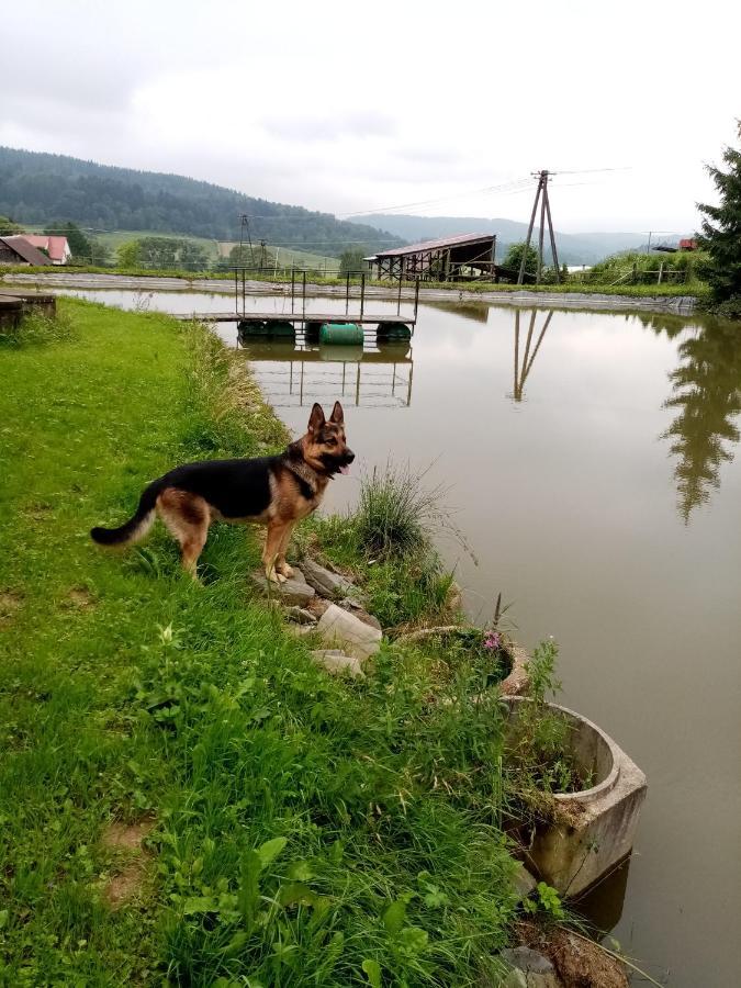 Przy Winogronie Hotel Uherce Mineralne Bagian luar foto