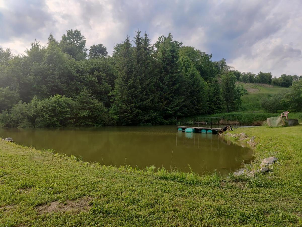 Przy Winogronie Hotel Uherce Mineralne Bagian luar foto